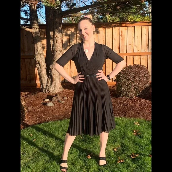 David Meister Dresses | David Meister Size 2 Black Dotted Dress Sheer With Micro Pleats! | Color: Black | Size: 2 | Modmusevintage's Closet